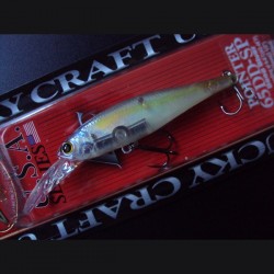 B'Freeze/Pointer 65 DD SP col.170 Ghost Chartreuse Shad