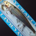 Lucky Craft SW Flash Pointer 115 SP col. 357 Anchovy Venus