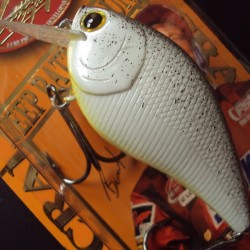 Lucky Craft LC 2.5 DRS #223 Shad Sift