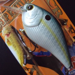 Lucky Craft LC 1.5 DRS #157 Sassy Shad