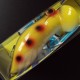 Lucky Craft Keroll Max #958 Old Yellow Parrot