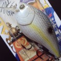 Lucky Craft LC RTO 1.5 col. 172 Sexy Chartreuse Shad