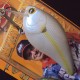Lucky Craft LC 2.5 DRS #250 Chartreuse Shad