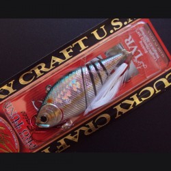 Live LVR col.108 Bloody MS American Shad