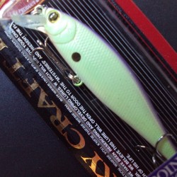 B'Freeze/Pointer 78 SR SP col.261 Table Rock Shad